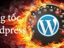 3 Bước đơn giản tối ưu tốc độ load web dành cho WordPress